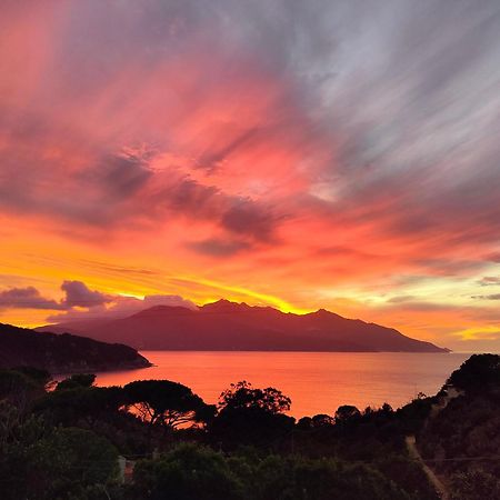 Hotel Scoglio Bianco بورتوفيرّايو المظهر الخارجي الصورة