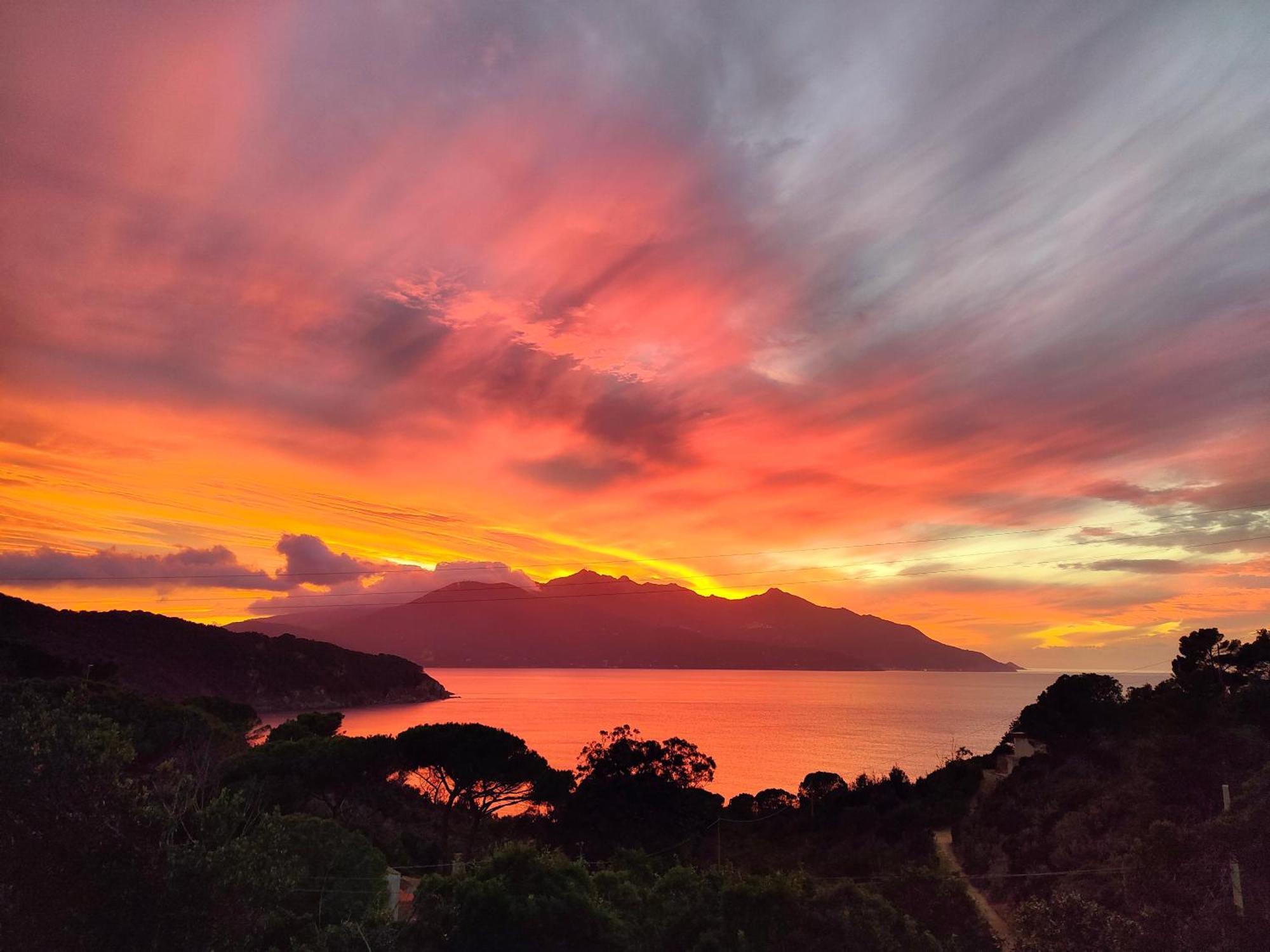 Hotel Scoglio Bianco بورتوفيرّايو المظهر الخارجي الصورة