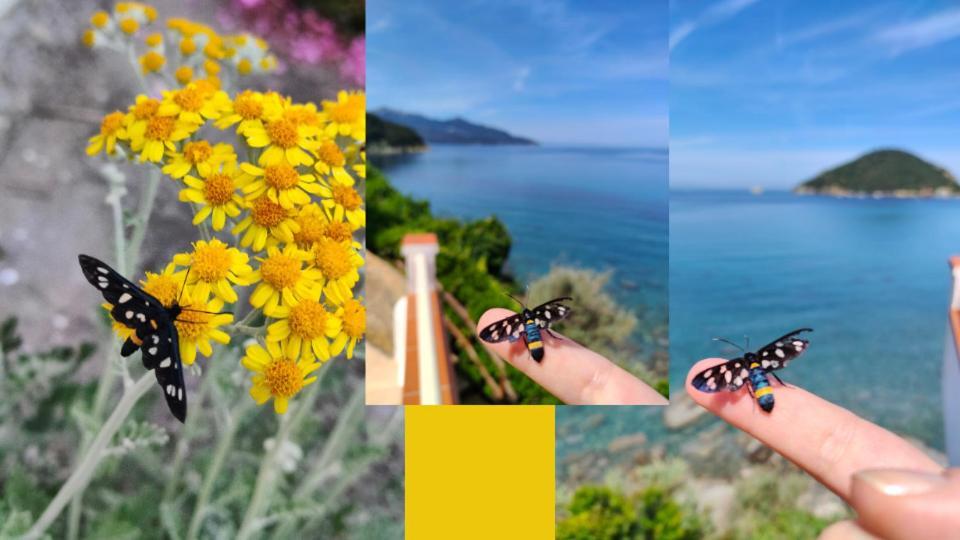 Hotel Scoglio Bianco بورتوفيرّايو المظهر الخارجي الصورة