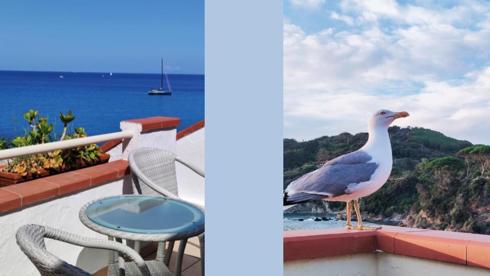 Hotel Scoglio Bianco بورتوفيرّايو المظهر الخارجي الصورة