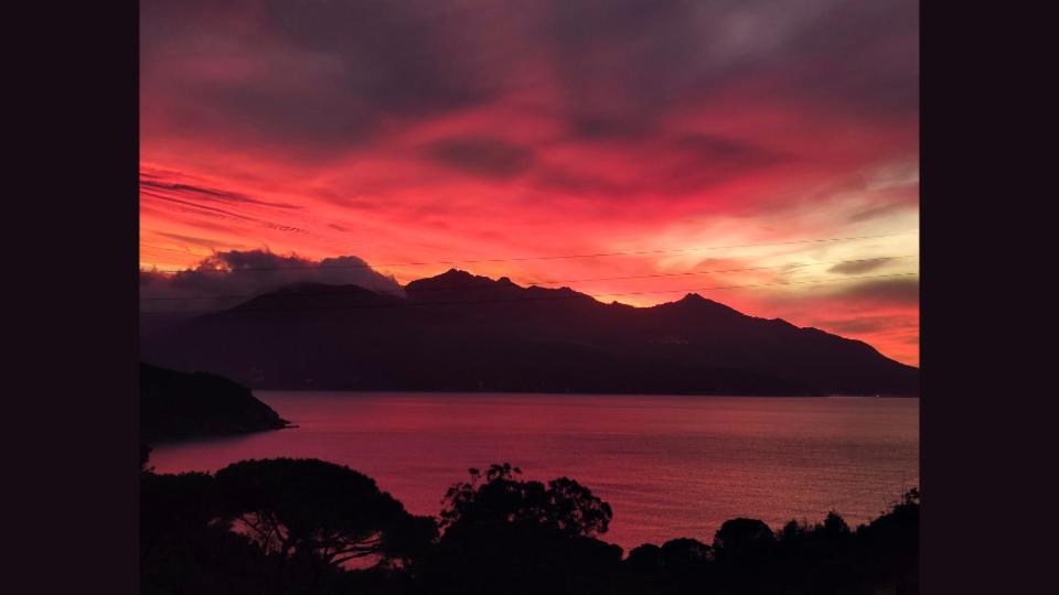 Hotel Scoglio Bianco بورتوفيرّايو المظهر الخارجي الصورة