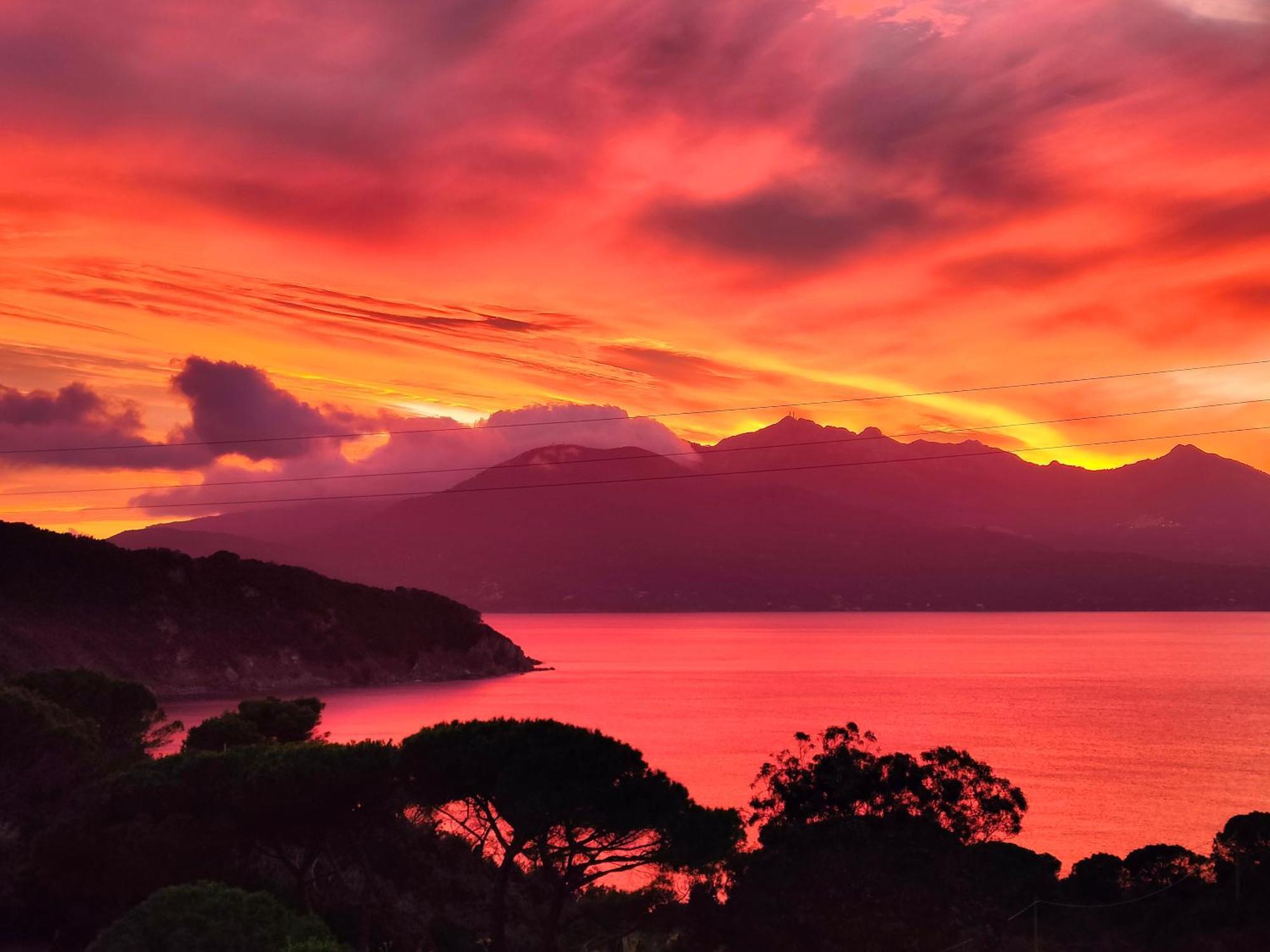 Hotel Scoglio Bianco بورتوفيرّايو المظهر الخارجي الصورة